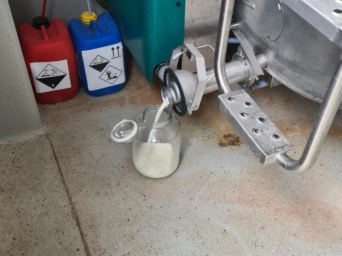 盖斯伯格膳食公寓 蒙德湖 外观 照片